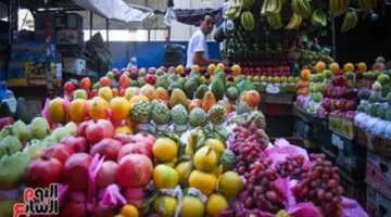 تحديث اليوم أسعار الفاكهة الطازجة والمستوردة بأسواق الأقصر